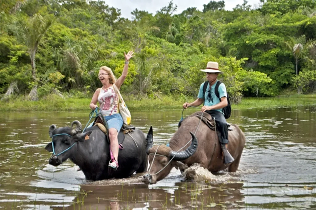 turismo rural nas fazendas marajoaras, norte do brasil