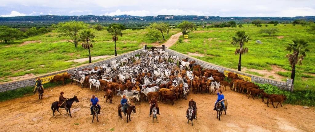 turismo rural no brasil: fazenda carnaúba