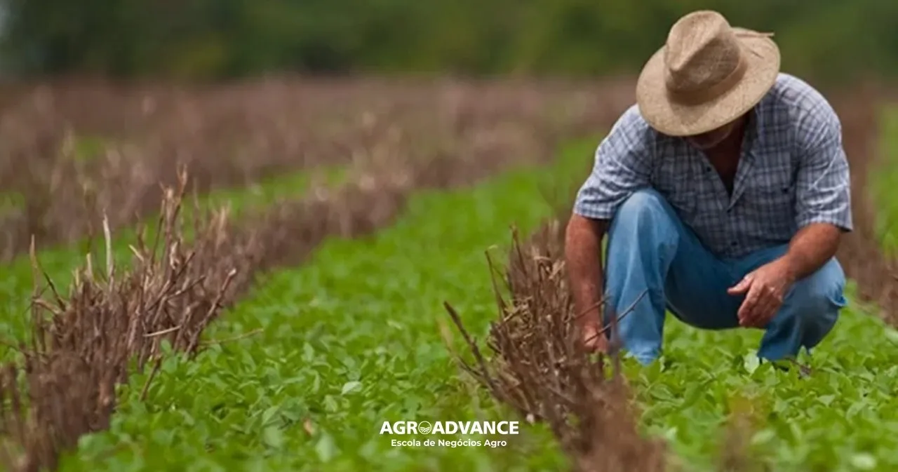 Dia do engenheiro agrônomo