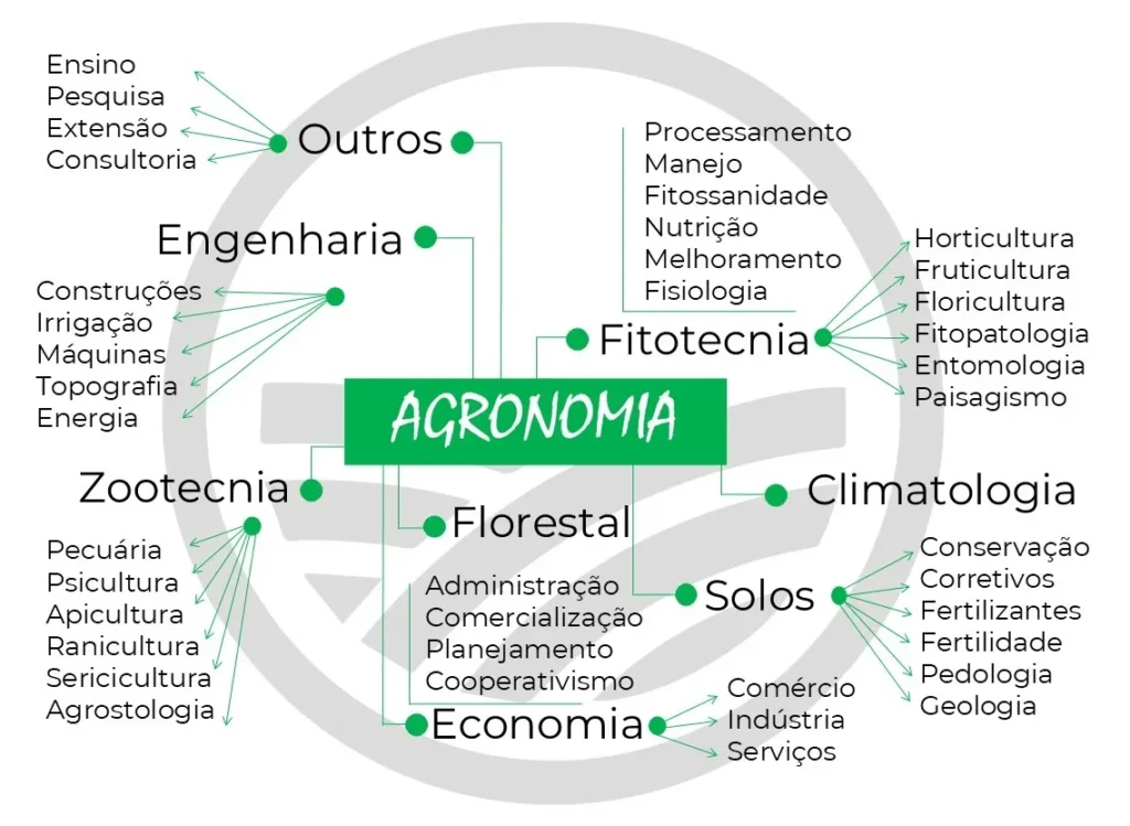 áreas da agronomia. em que áreas o engenheiro agrônomo pode atuar. áreas de atuação de um engenheiro agrônomo