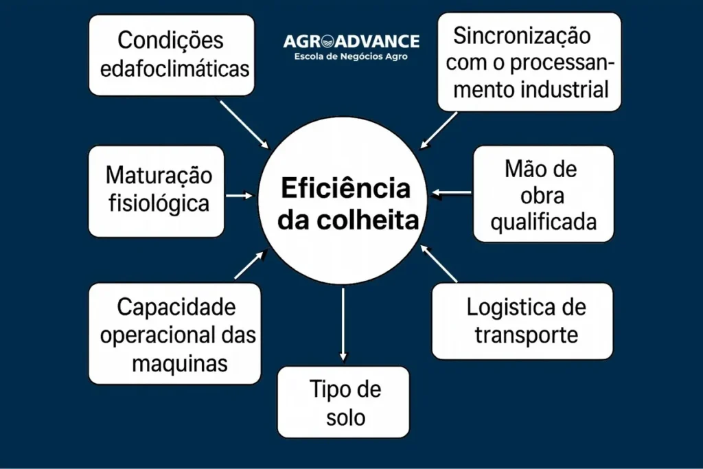 fatores que influenciam a eficiência da colheita da cana-de-açúcar