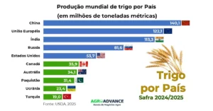 10 maiores produtores de trigo do mundo 2025