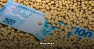custo de produção de soja 2025 2026
