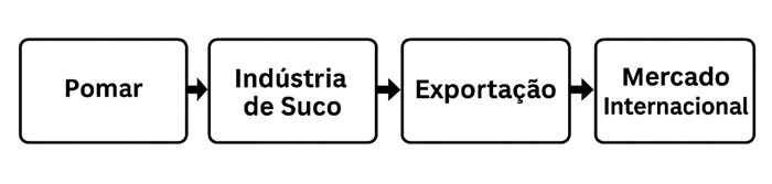 Fluxo simplificado da cadeia de valor do suco de laranja, do pomar ao mercado internacional
