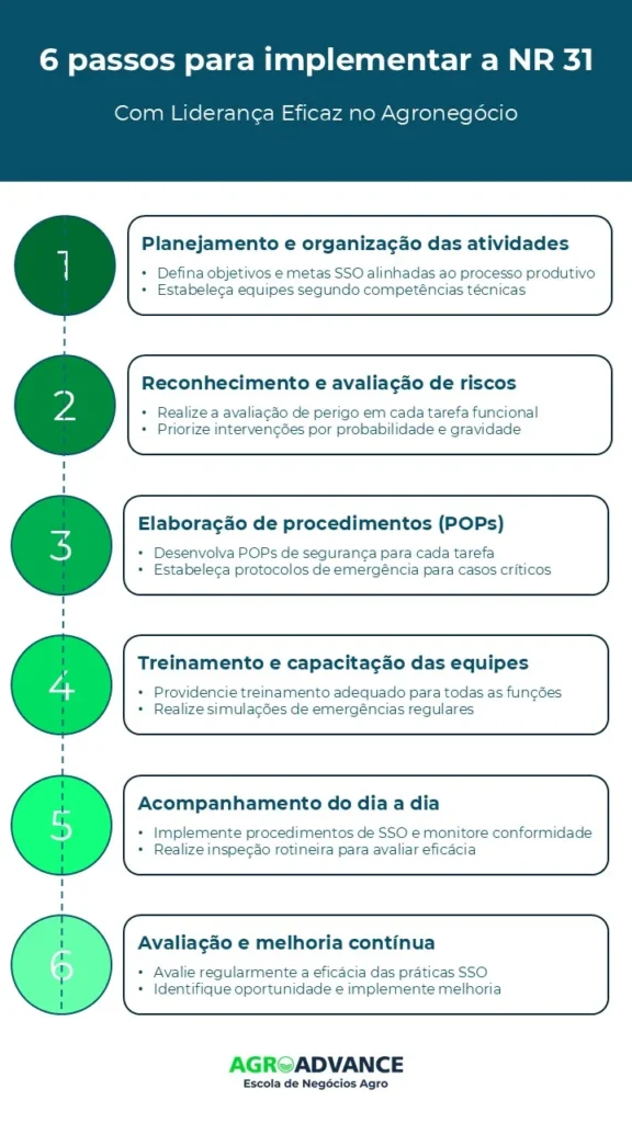 Infográfico sobre liderança na segurança do trabalho: 6 passos para implementar a NR 31 no agronegócio