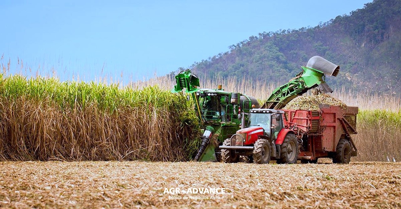 custo do ATR custo de produção de cana 224/25