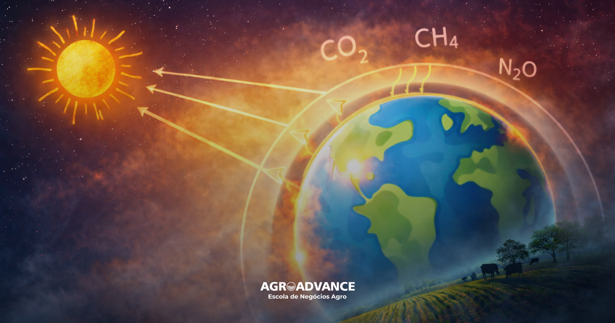 gases do efeito estufa