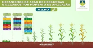 Relação de mecanismos de acao de herbicidas. Diagrama, colorido