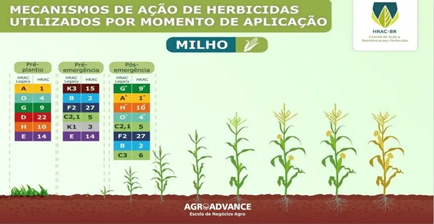 Relação de mecanismos de acao de herbicidas. Diagrama, colorido