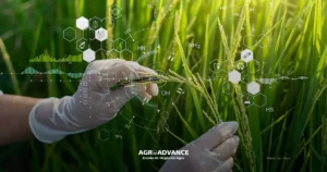 Novas moléculas no agro