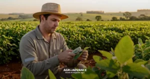 análises fisiológicas de plantas
