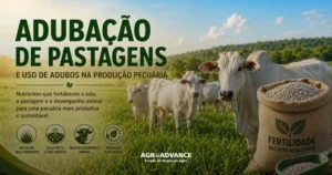 adubação de pastagens adubo para pastagem