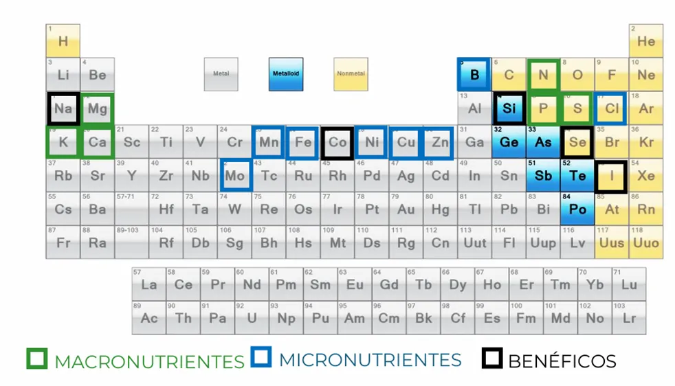 Classificação dos nutrientes em macro, micro e elementos benéficos na tabela peródica