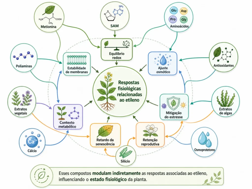 mapa de compostos naturais e modulação indireta