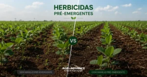 herbicida pré-emergente