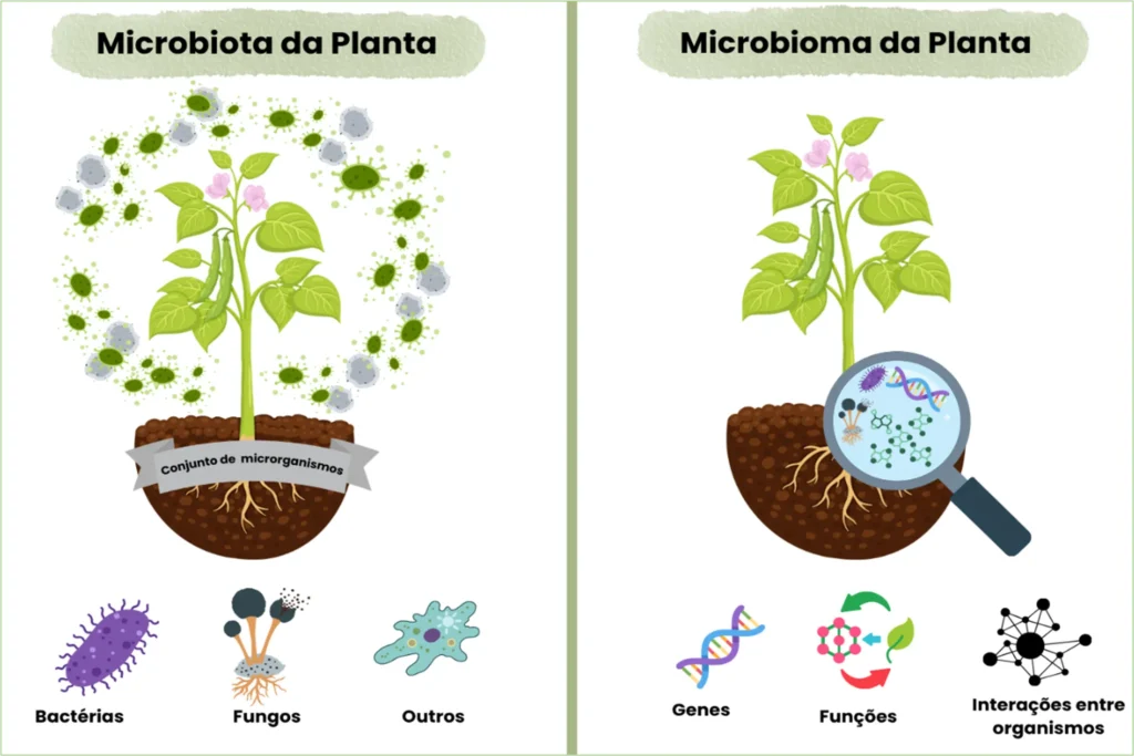 Diferença entre microbiota e microbioma do solo.