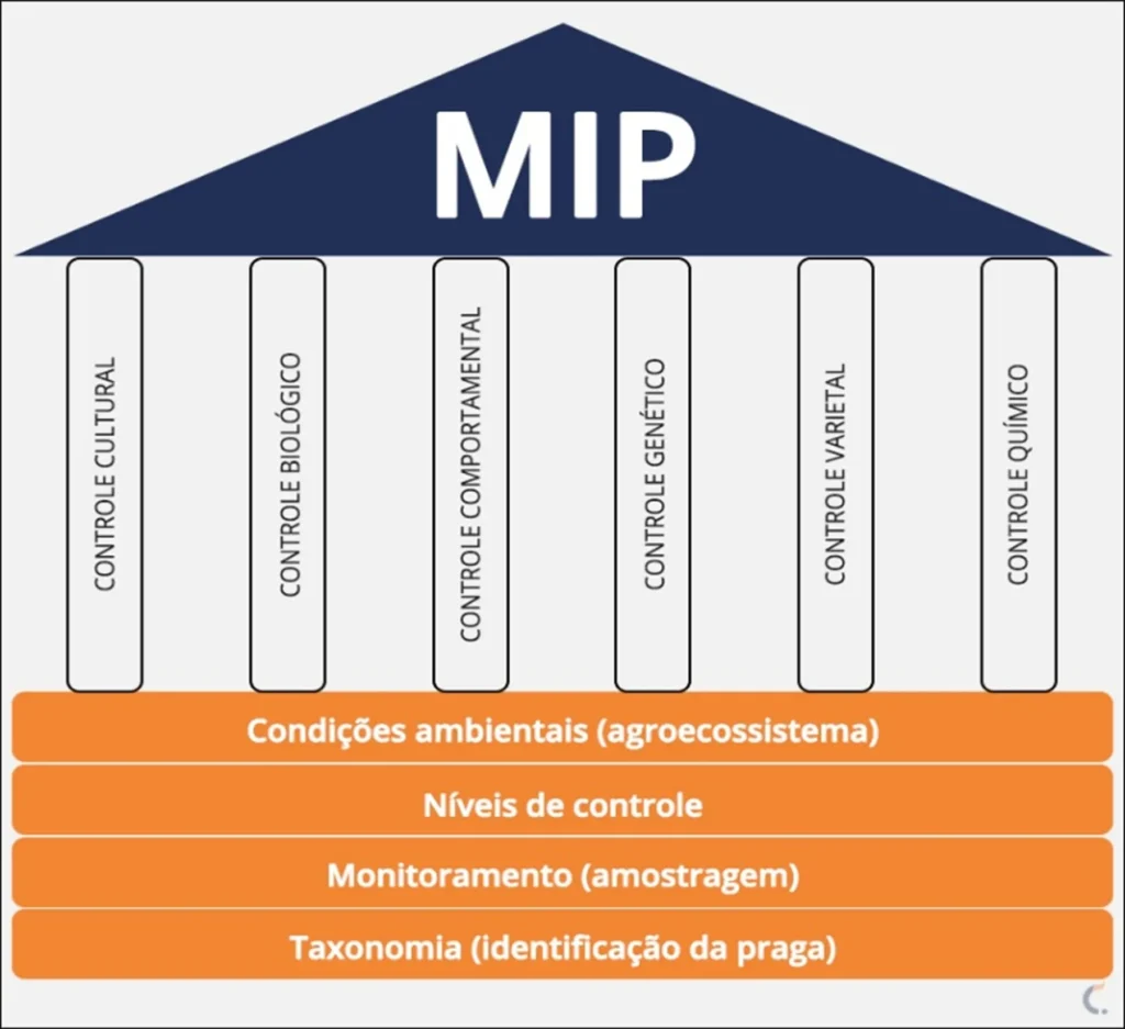 Principais componentes e estratégias utilizadas no Manejo Integrado de Pragas (MIP). 
