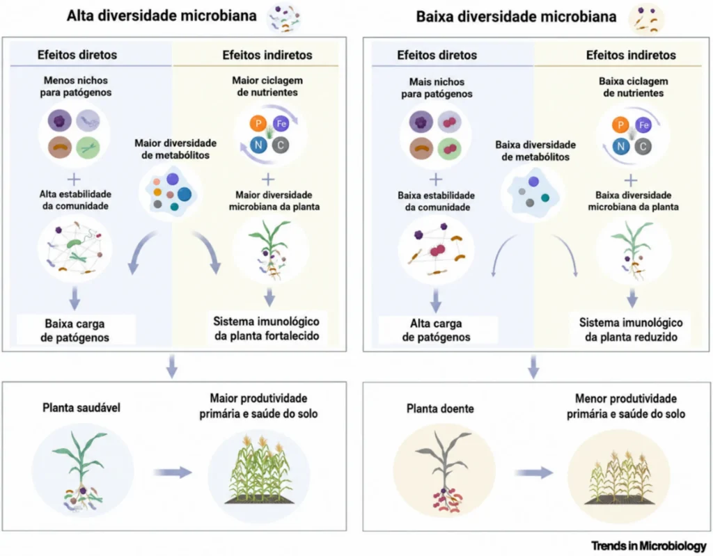 diversidade microbiana e supressão de patógenos em solos supressivos