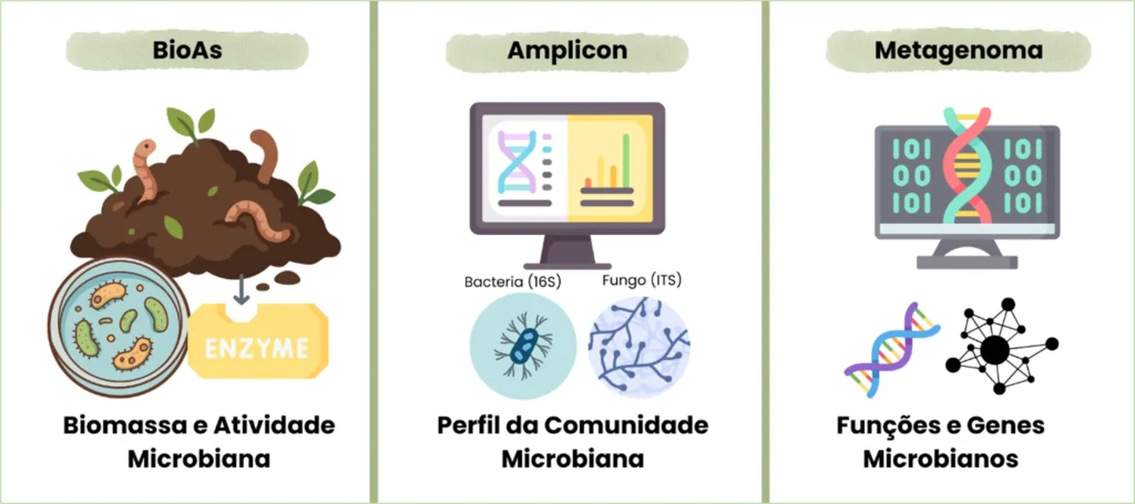 Microbioma e suas análises tipos de análises biológicas do solo