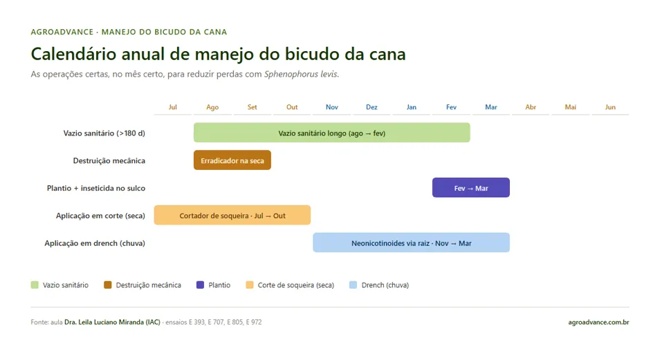 Calendário anual de manejo do bicudo