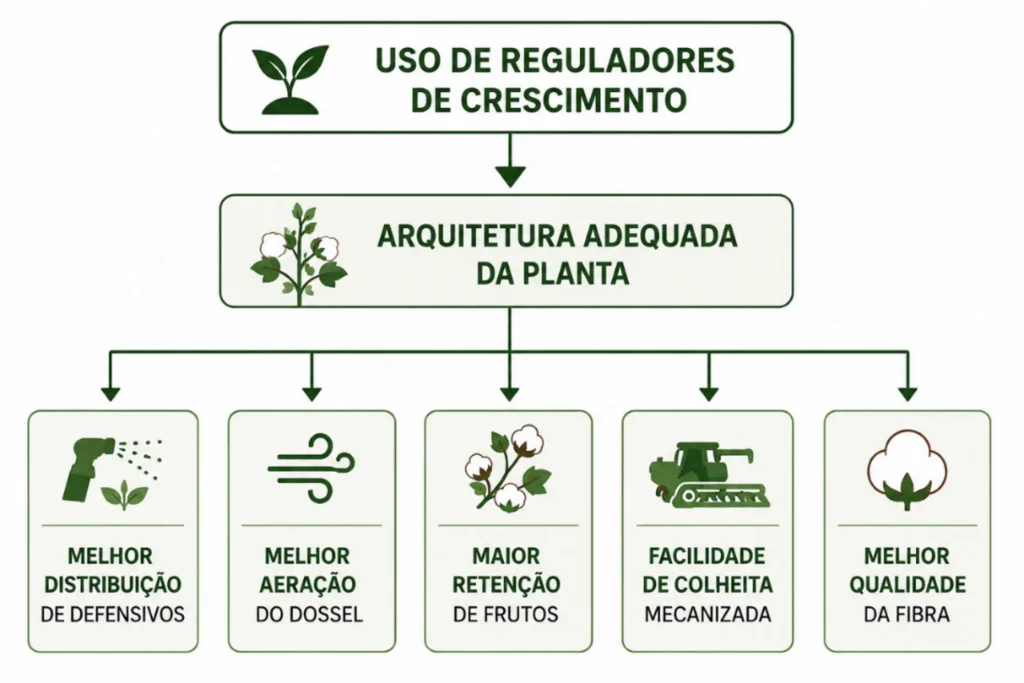 reguladores de crescimento