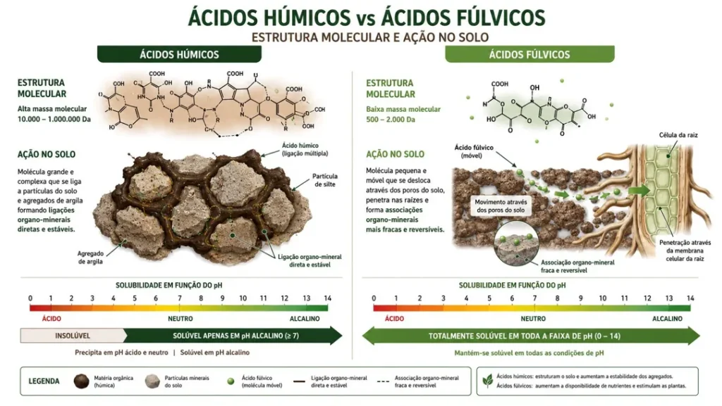 estrutura molecular e ação no solo - ácidos húmicos e fúvicos