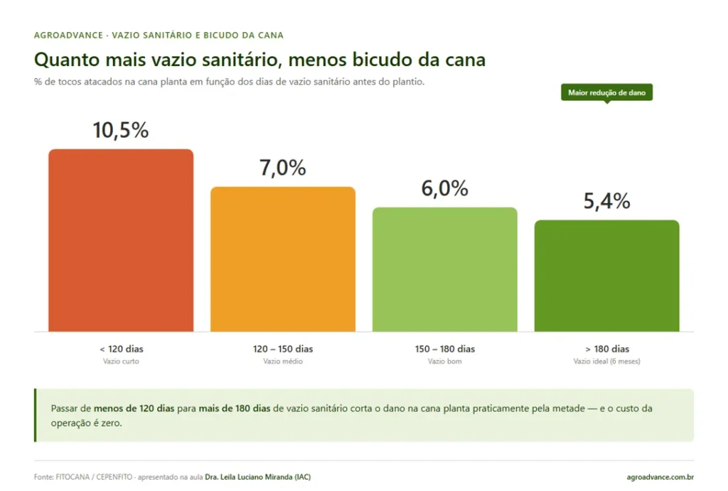 vazio sanitario e impacto por hectare