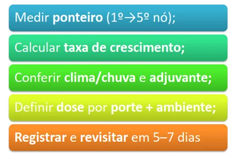 etapas de monitoramento e ajuste do manejo de reguladores