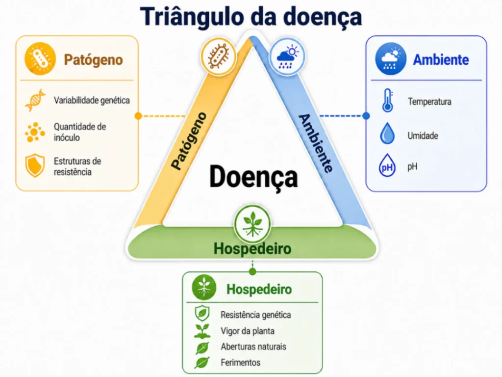 triângulo da doença: base de solos supressivos
