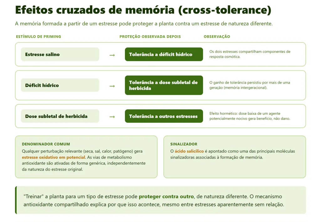 Efeitos cruzados de memória (cross-tolerance). 