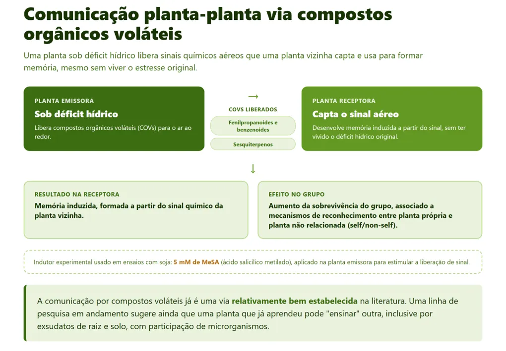 Comunicação planta-planta via compostos orgânicos voláteis