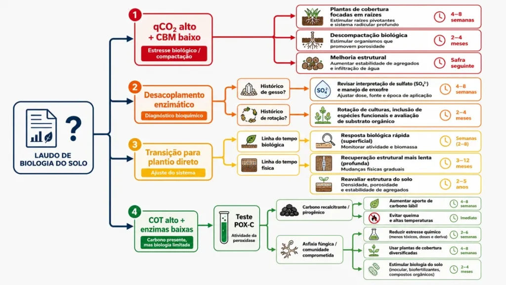 Fluxo de decisão baseado em indicadores biológicos.