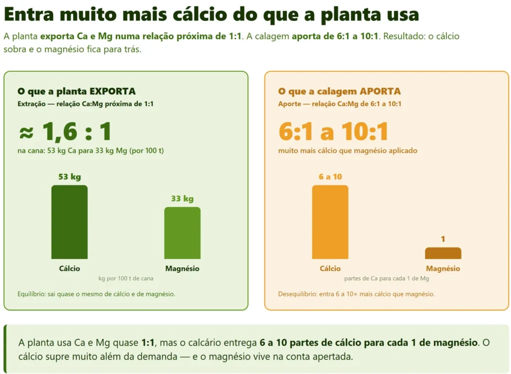 Extração e exportação de cálcio e magnésio pela planta.