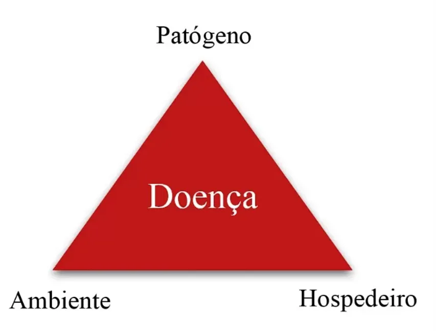 Triângulo da epidemiologia da doença