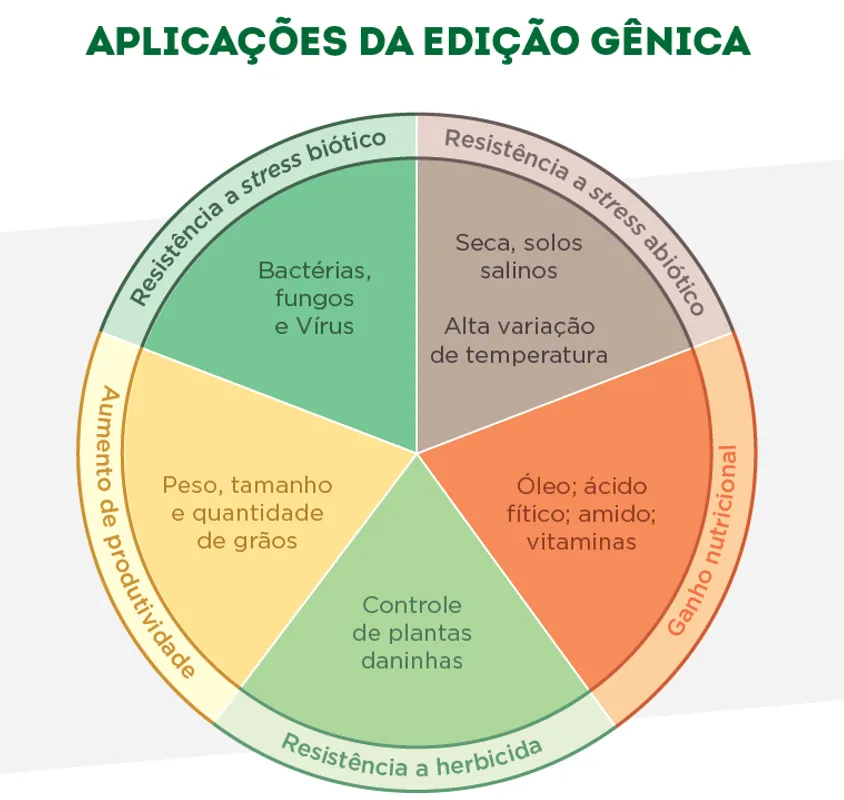 Principais aplicações da edição gênica CRISPR no melhoramento de plantas: resistência, tolerância a estresses e produtividade