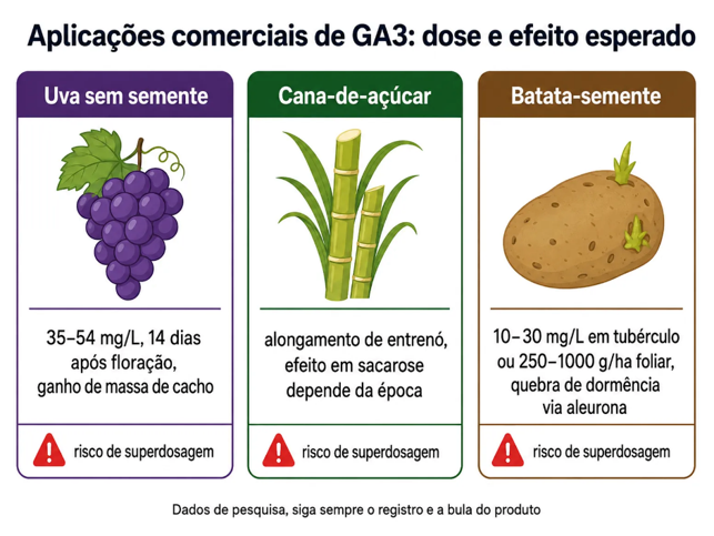 Quadro comparativo de doses de giberelina GA3. Aplicações comerciais de GA3 giberelina em uva, cana e batata-semente: cultura, dose, estádio e efeito esperado.
