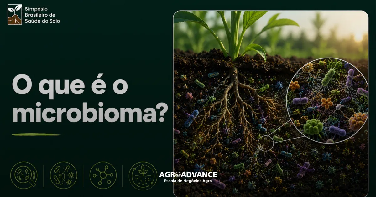 Microbioma do solo: o que a ciência revela sobre a comunicação entre plantas e microrganismos
