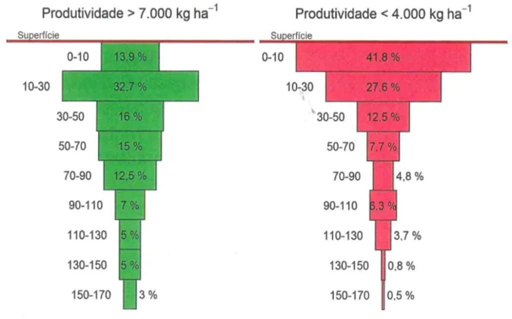 . Distribuição do sistema radicular da soja no perfil do solo em lavouras com diferentes níveis de produtividade. 