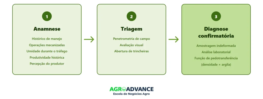 O protocolo de diagnóstico em três etapas — anamnese, triagem e diagnose confirmatória.