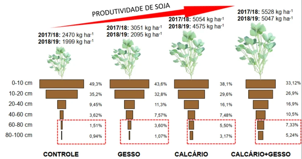 . Distribuição do sistema radicular e produtividade da soja em função da aplicação de calcário e gesso