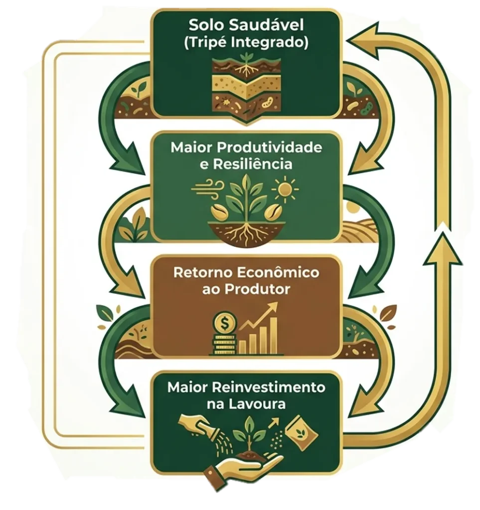 o ciclo virtuoso do solo saudável