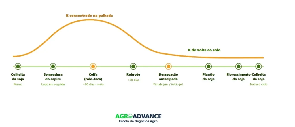 O ciclo anual do potássio no sistema capim-soja. Ciclagem de potássio no solo ao longo do tempo