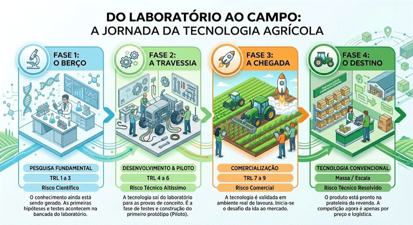 Fases de desenvolvimento de uma Deep Tech.