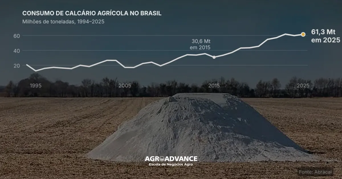 Preço do calcário agrícola em 2025: valores por estado, consumo e mercado no Brasil