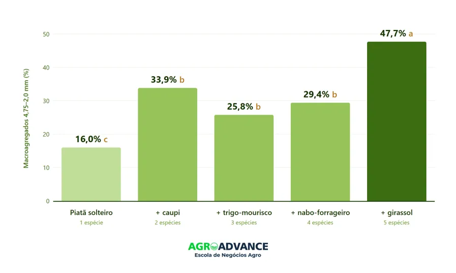 macroagregados do solo em função do numero de espécies do mix de plantas de cobertura de solo