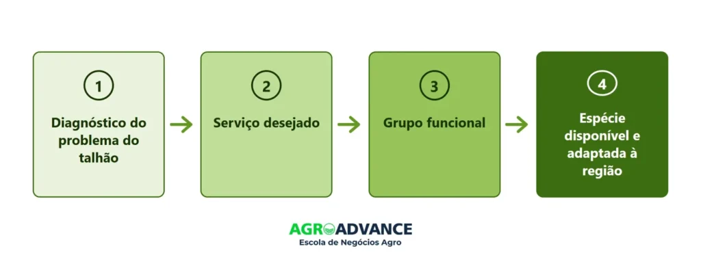 Sequência de escolha do mix de plantas de cobertura de solo
