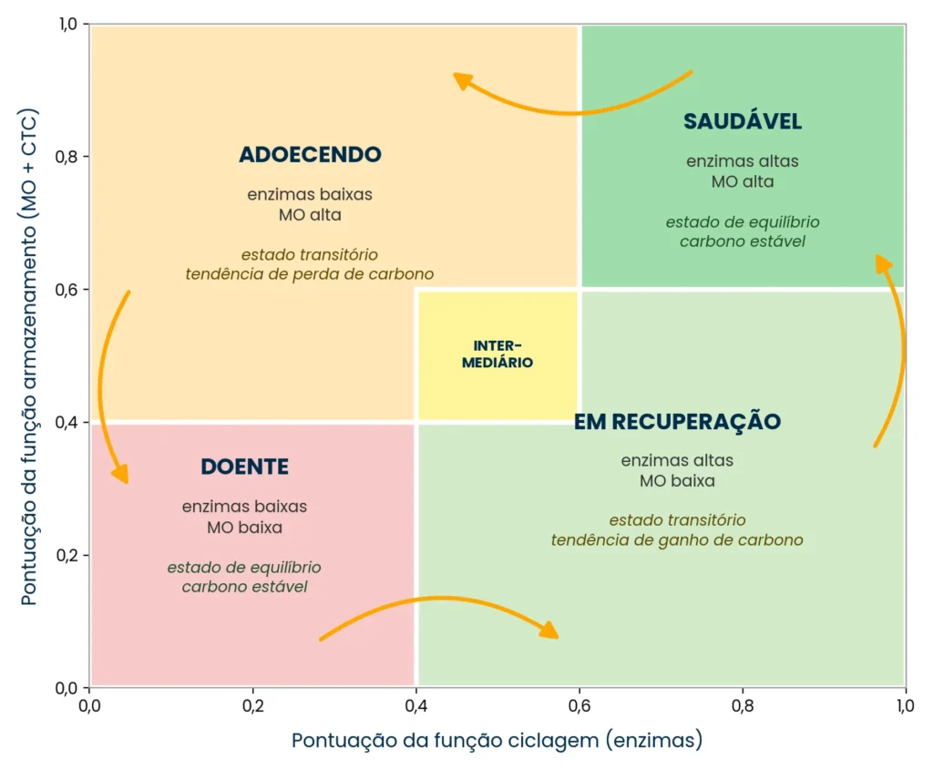 Estados de saúde do solo na BioAS: solo saudável, solo doente, solo em recuperação e solo adoecendo, 