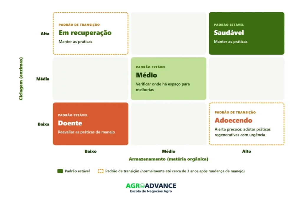 cinco condições do solo pela BioAS, do cruzamento entre ciclagem (enzimas) e armazenamento (matéria orgânica), e a ação indicada para cada uma. Bioas: solo doente, solo adoecendo, solo saudável e solo em recuperação